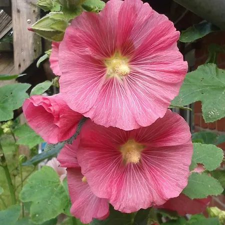 Alter Dorfkrug 4 דירה