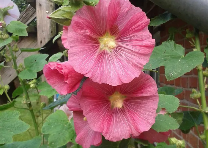 Alter Dorfkrug 4 Lejlighed